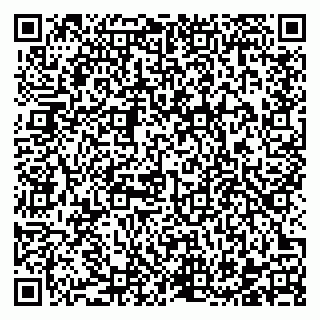 vCard 78122391381