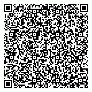 vCard 78122393531