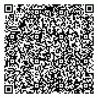 vCard 78122394381