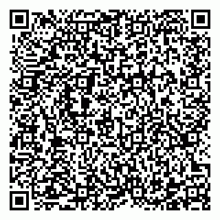 vCard 78122397401