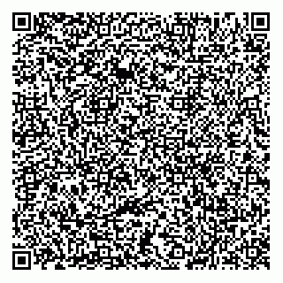 vCard 78122401005