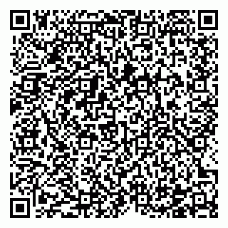 vCard 78122404004