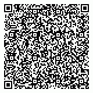 vCard 78122404033
