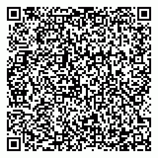 vCard 78122404085