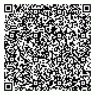 vCard 78122404096
