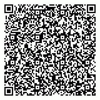 vCard 78122404111