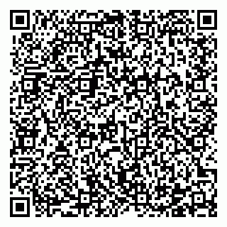 vCard 78122404127