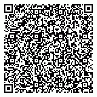 vCard 78122404131