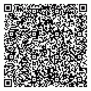 vCard 78122404132