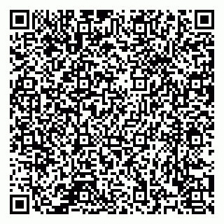 vCard 78122404133