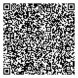 vCard 78122404259