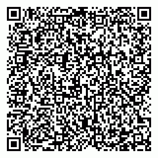 vCard 78122404291