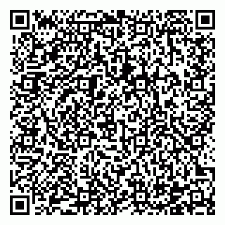 vCard 78122404299