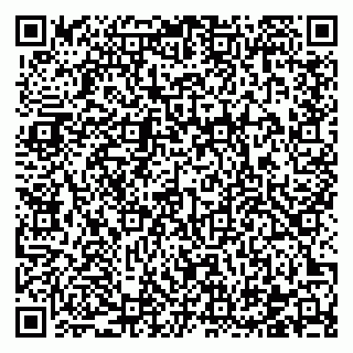 vCard 78122404331