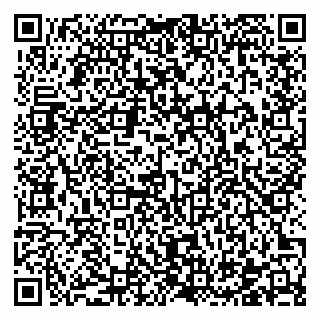 vCard 78122404381
