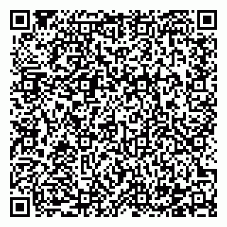 vCard 78122404531