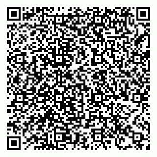 vCard 78122406029