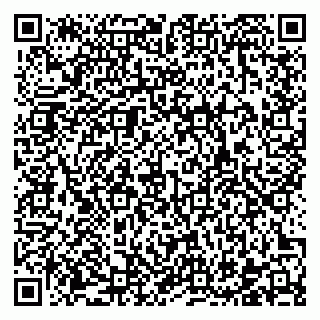 vCard 78122408399