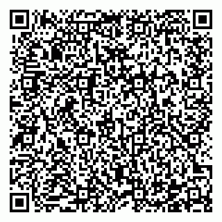 vCard 78122424101
