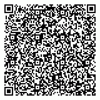 vCard 78122427733