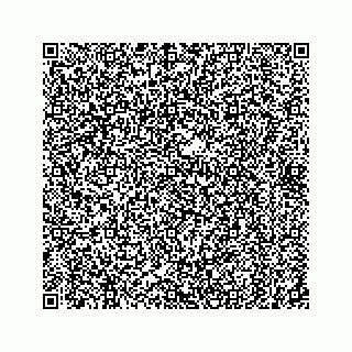 vCard 78122440384