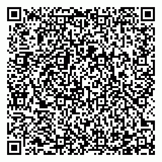 vCard 78122440385