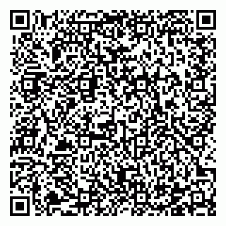 vCard 78122440387