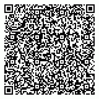 vCard 78122440887