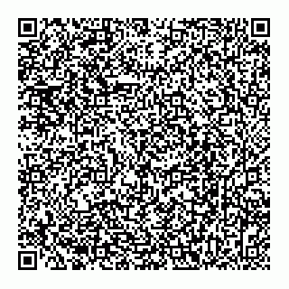vCard 78122441917