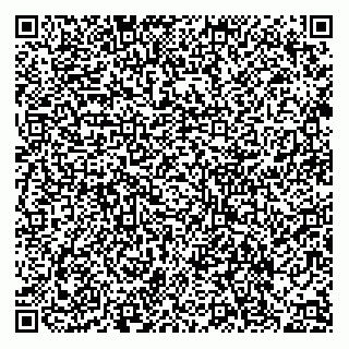 vCard 78122449331