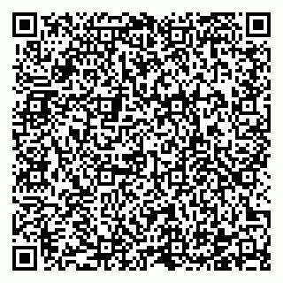 vCard 78122459381
