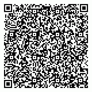 vCard 78122459384