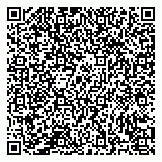 vCard 78122459392