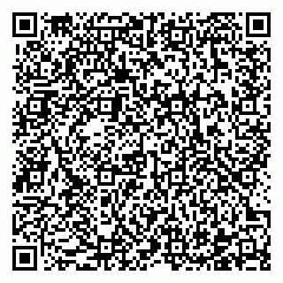 vCard 78122460378