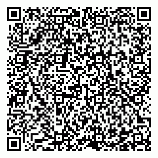 vCard 78122460381