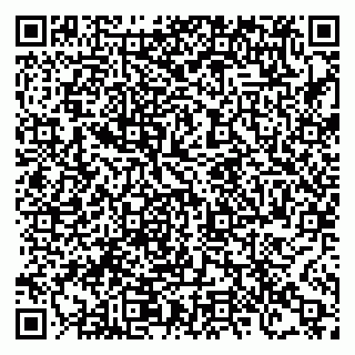 vCard 78122460383