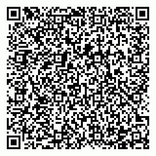 vCard 78122460411