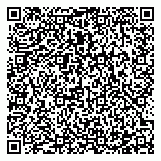 vCard 78122460519