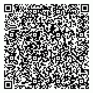 vCard 78122480863