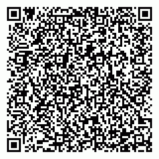 vCard 78122480871