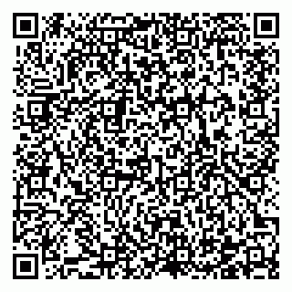 vCard 78122480881