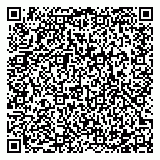 vCard 78122480903