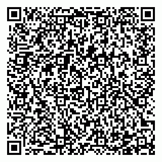 vCard 78122481003