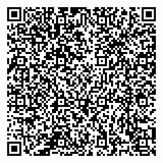 vCard 78122481029