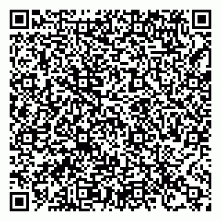 vCard 78122481033