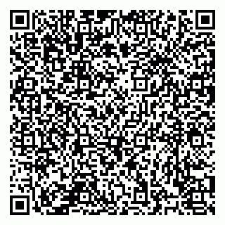 vCard 78122481035
