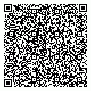 vCard 78122481040