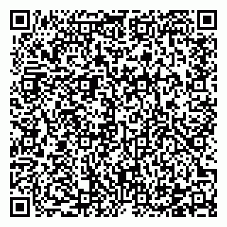 vCard 78122481063
