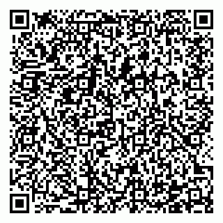 vCard 78122481065