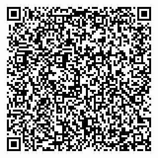 vCard 78122481083